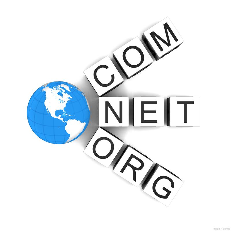 选择软件开发公司的实用指南